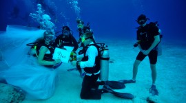 Wedding Underwater Desktop Wallpaper