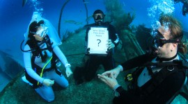 Wedding Underwater Image Download