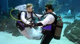 Wedding Underwater Image#1