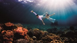 Wedding Underwater Picture Download