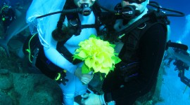 Wedding Underwater Wallpaper For Android