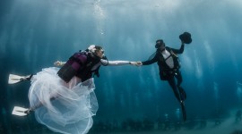 Wedding Underwater Wallpaper HQ