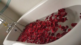 Bathroom Rose Petals Photo Free