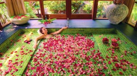 Bathroom Rose Petals Wallpaper