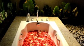 Bathroom Rose Petals Wallpaper For IPhone