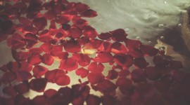 Bathroom Rose Petals Wallpaper For Mobile