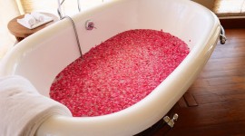 Bathroom Rose Petals Wallpaper Free