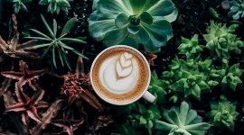 Cappuccino Photography Best Wallpaper