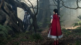 Into The Woods Photo Download
