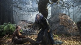 Into The Woods Wallpaper Download