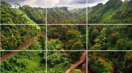 Puzzles Nature Wallpaper Free