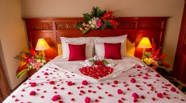 Room With Flowers Wallpaper Download