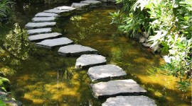 Stones In Water Photo Download