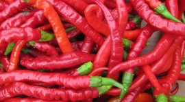 4K Chili Pepper Photo
