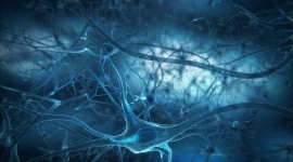 4K Nerve Cell Wallpaper 1080p