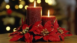 Candle Bouquets Wallpaper