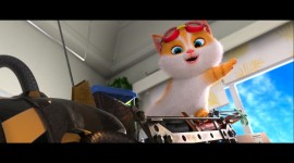 Cats & Peachtopia Aircraft Picture
