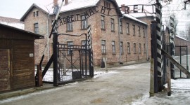 Concentration Camp High Quality Wallpaper