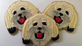 Dog Cookies Desktop Wallpaper For PC