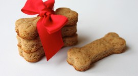 Dog Cookies Photo Free