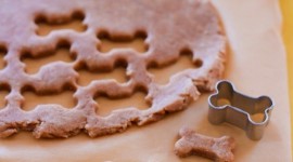 Dog Cookies Wallpaper For IPhone Download