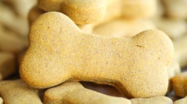Dog Cookies Wallpaper For Mobile