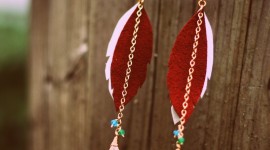 Feather Earrings Photo