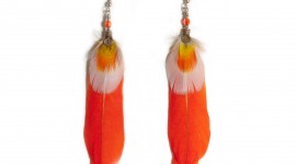 Feather Earrings Photo Download