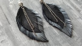 Feather Earrings Wallpaper For PC