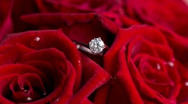 Ring In Roses Wallpaper Free