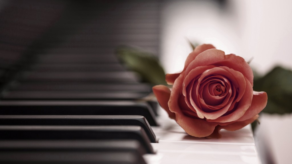 Rose Piano wallpapers HD
