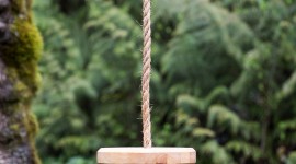 Swing Tree Wallpaper For Android#1