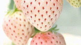 White Strawberries Wallpaper For Android#1