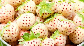 White Strawberries Wallpaper For IPhone