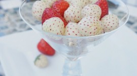 White Strawberries Wallpaper For IPhone#1