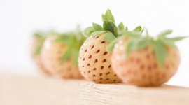 White Strawberries Wallpaper Gallery