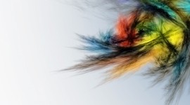 4K Multicolored Feather Image Download