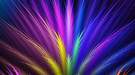 4K Multicolored Feather Wallpaper For IPhone