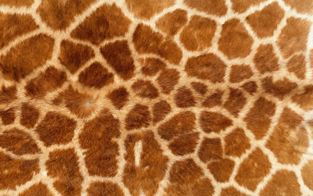 Animal Skins wallpapers HD