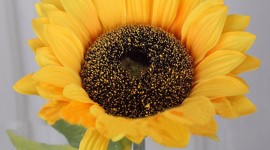 Artificial Sunflowers Wallpaper Gallery