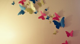 Butterflies Wall Wallpaper HQ