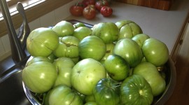 Green Tomatoes Wallpaper HD