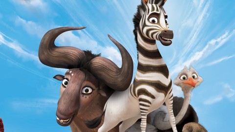 Khumba wallpapers high quality