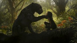 Mowgli 2018 Wallpaper For Desktop