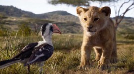 The Lion King 2019 Photo