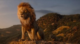 The Lion King 2019 Photo Free
