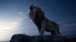 The Lion King 2019 Wallpaper Gallery