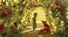 The Little Prince Photo Download