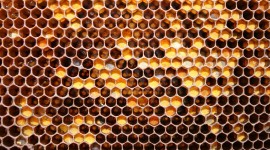4K Honeycomb Wallpaper