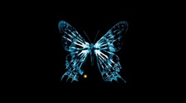 The Butterfly Effect Wallpaper Background